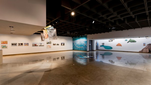 SadTropics.Polk.FSC.Install-04.sm