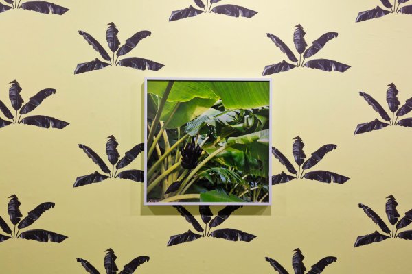 SadTropics.TempusProjectsINSTALL-10.sm