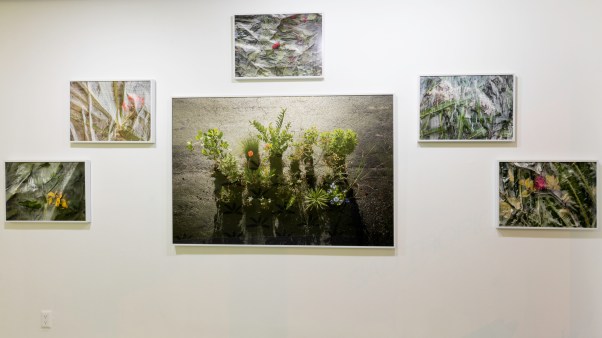 SadTropics.TempusProjectsINSTALL-15.sm-4